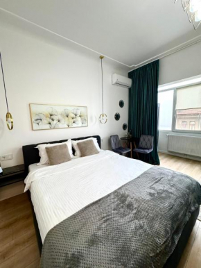 Town Spot - Premium Studio - Sanador Victoriei